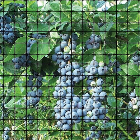 Bird-B-Gone Bird B Gone UN-341 Garden Bird Netting 0.75 in. Mesh - Black - 14 ft. x 100 ft. UN-341